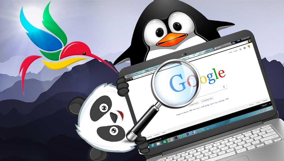 The Complete Guide to Google Search Algorithm – Panda, Penguin and Hummingbird